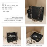 Elegant Noir Chain Handbag